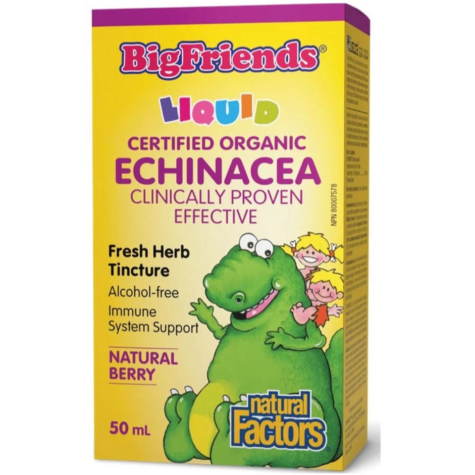 Natural Factors BigFriends Echinacea Fresh Herb Tincture 50mL Cough, Cold & Flu at Village Vitamin Store