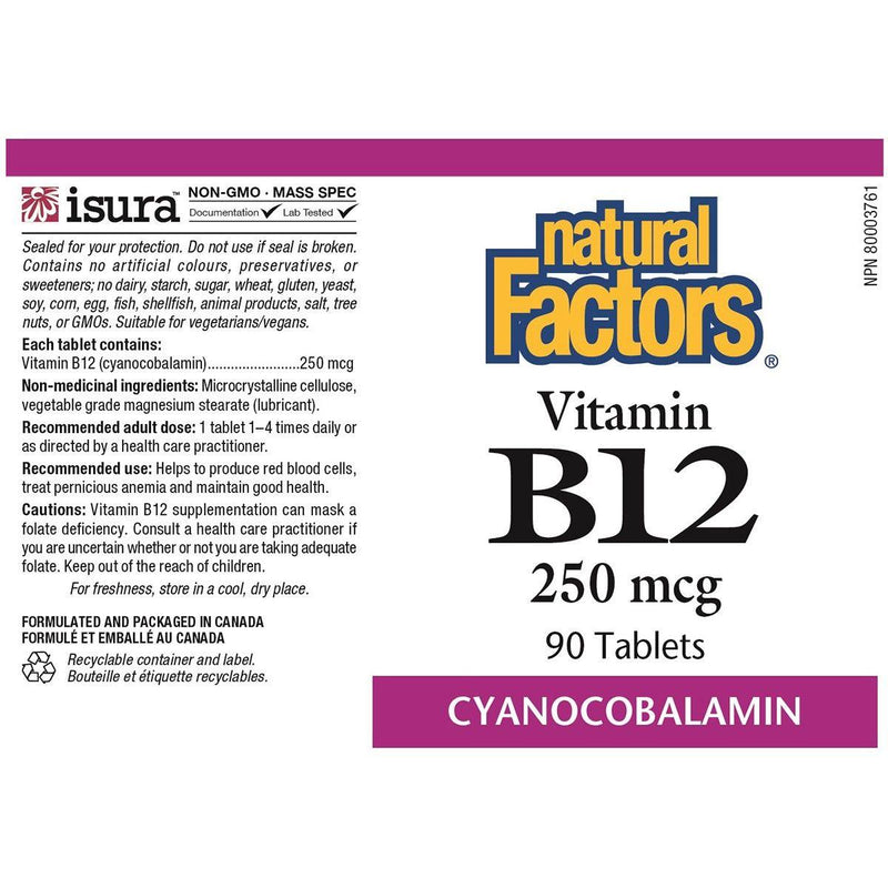 Natural Factors Vitamin B12 250mcg 90 Tabs Vitamins - Vitamin B at Village Vitamin Store