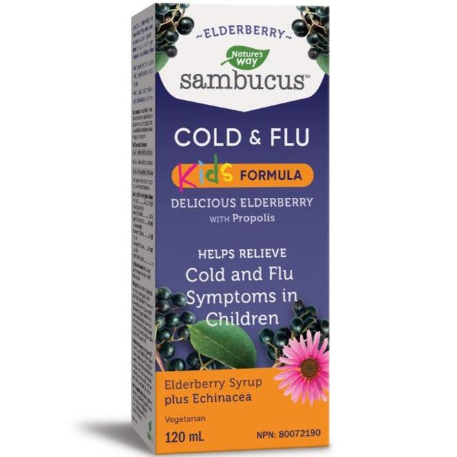 Nature's Way Sambucus Elderberry Syrup Kids 120mL Cough, Cold & Flu at Village Vitamin Store
