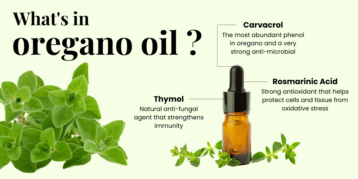Carvacrol is the most abundant phenol in oregano and a very strong anti-microbial. Thymol is a natural anti-fungal agent that strengthens immunity. Rosmarinic acid is a strong antioxidant that helps protect cells and tissue from oxidative stress.