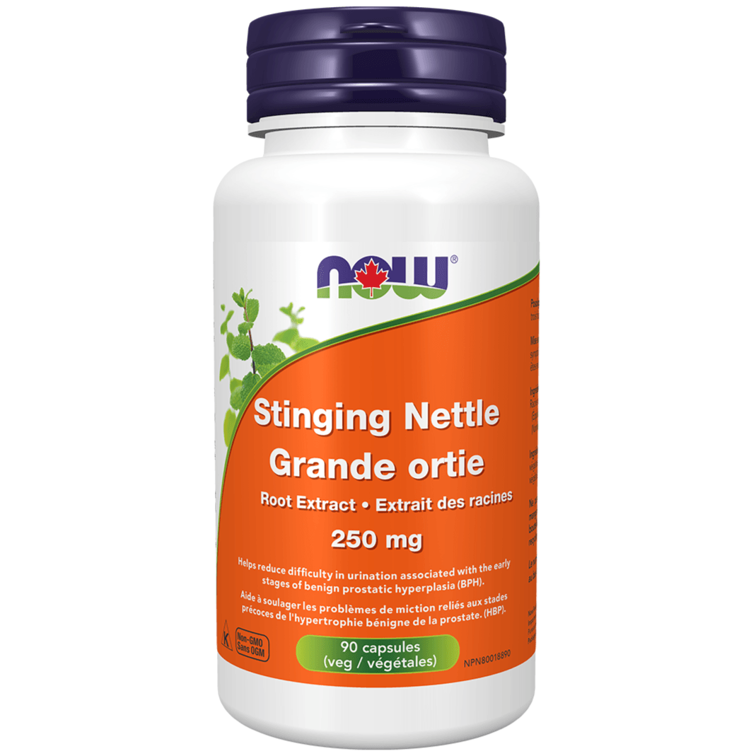 NOW Stinging Nettle Root Extract 250mg 90 Veggie Caps* Supplements at Village Vitamin Store