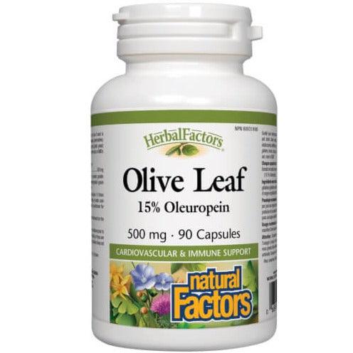 Natural Factors Olive Leaf 500mg 90 Capsules Supplements at Village Vitamin Store