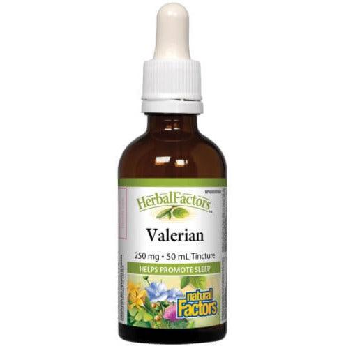 Natural Factors Valerian Tincture 50ml Supplements - Sleep at Village Vitamin Store