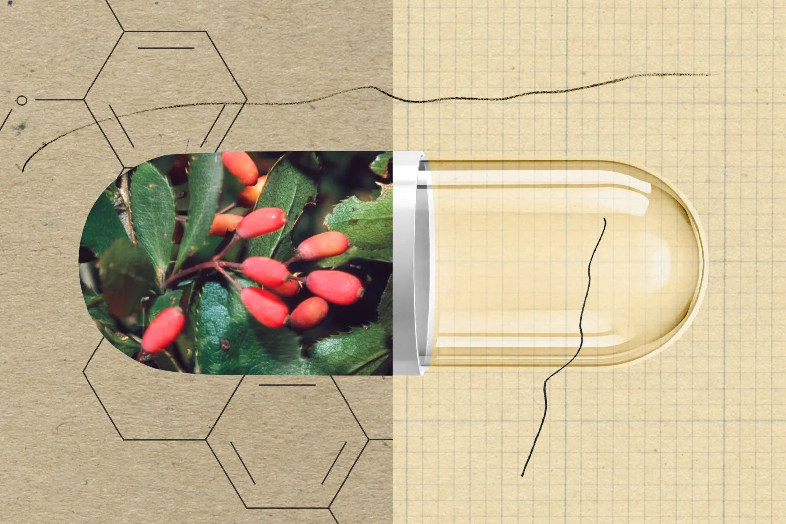 Berberine Side Effects: What You Need to Know Before Taking Berberine