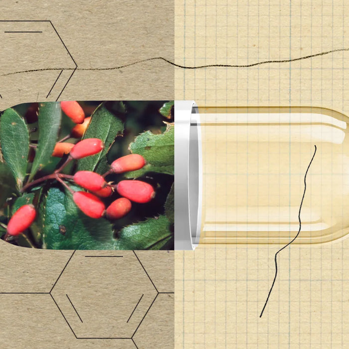Berberine Side Effects: What You Need to Know Before Taking Berberine
