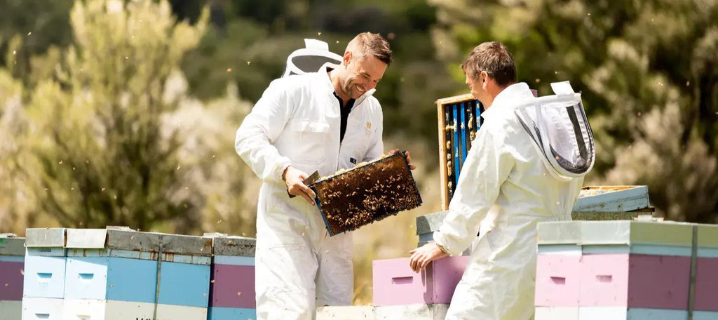 The Surprising Benefits of Manuka Honey
