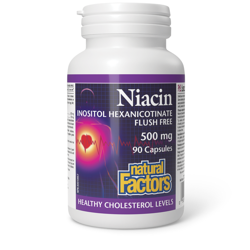 Natural Factors No Flushing Niacin 500MG 90 Caps