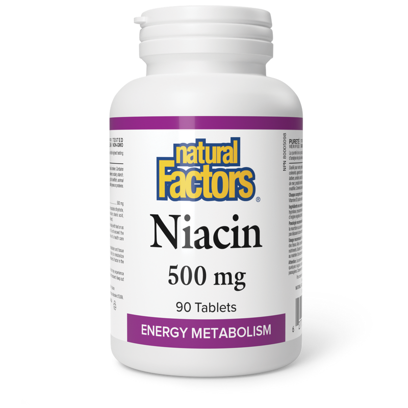 Natural Factors Niacin (Vitamin B3) 500mg 90 tablets