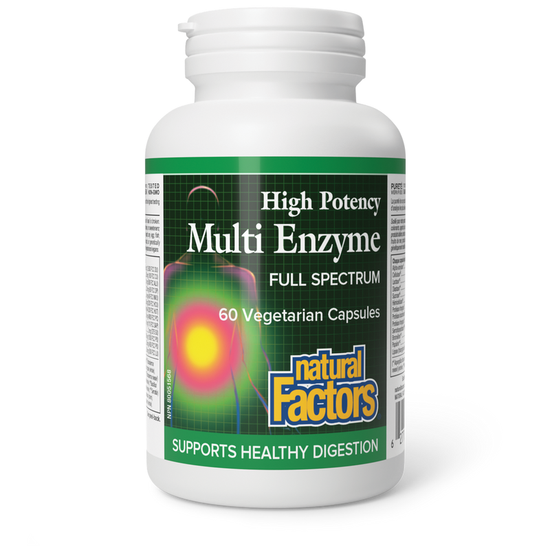 Natural Factors High Potency Multi Enzyme 60 Veggie Caps