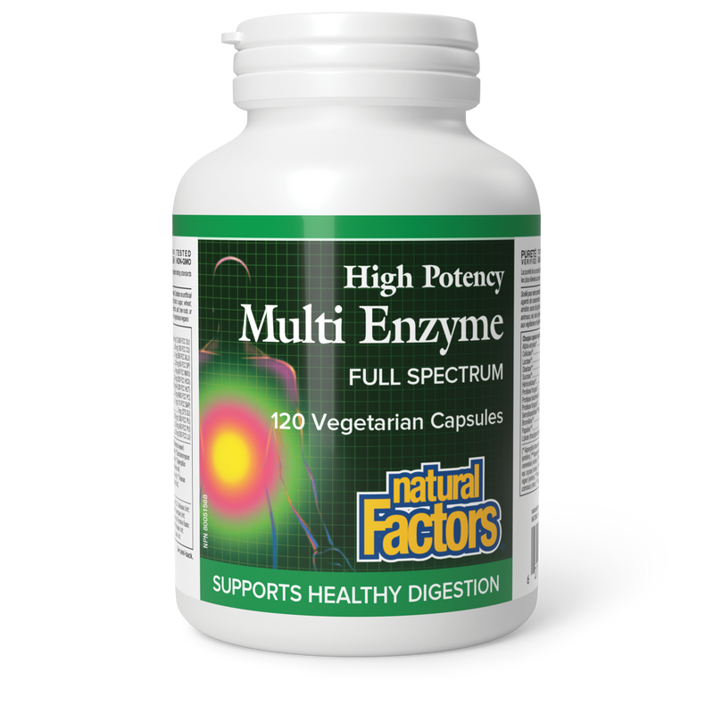 Natural Factors High Potency Multi Enzyme Full Spectrum 120 Veggie Caps