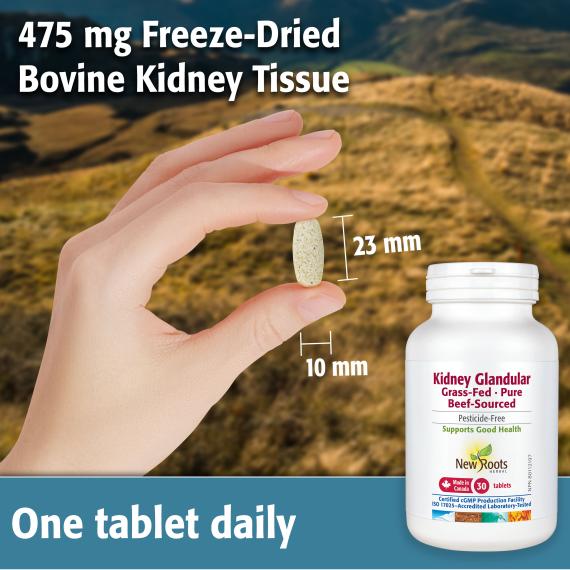 New Roots Kidney Glandular Grass fed - Pure Beef-Sourced