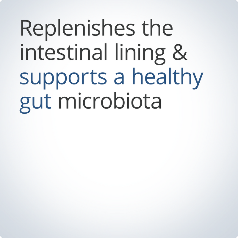 Metagenics UltraGI Replenish Vanilla 609 g