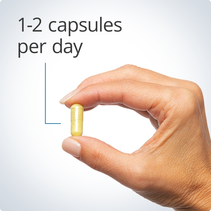 Metagenics Quercetin 500 60 Caps