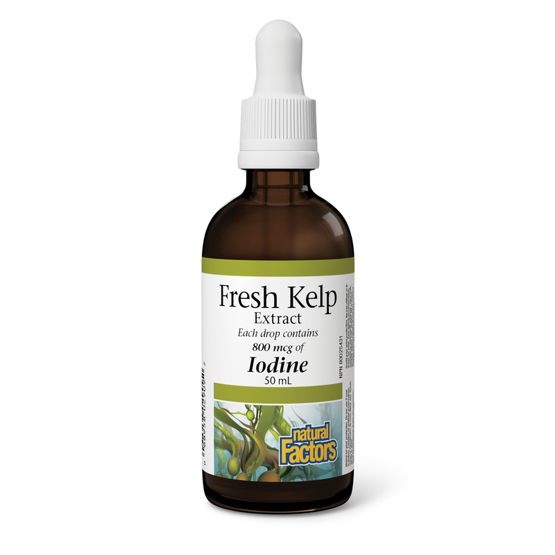 Natural Factors Fresh Kelp Extract 50mL