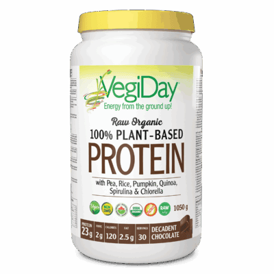 Vegiday Raw Organic Plant Based Protein Decadent Chocolate  1050 gms