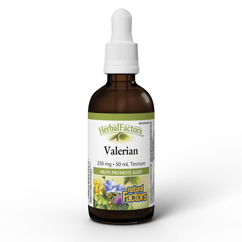 Natural Factors Valerian Tincture 50ml