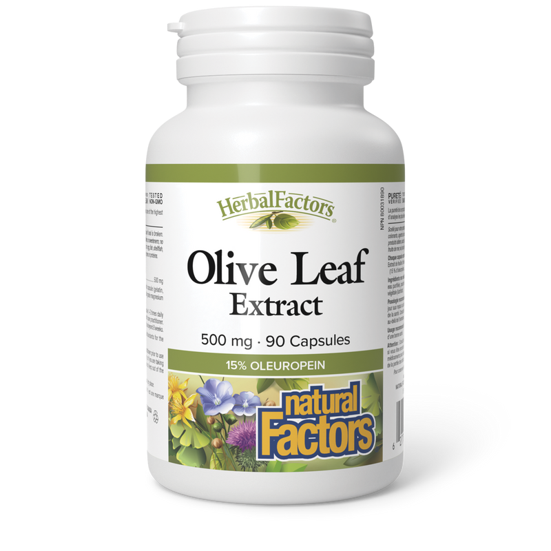 Natural Factors Olive Leaf 500mg 90 Capsules