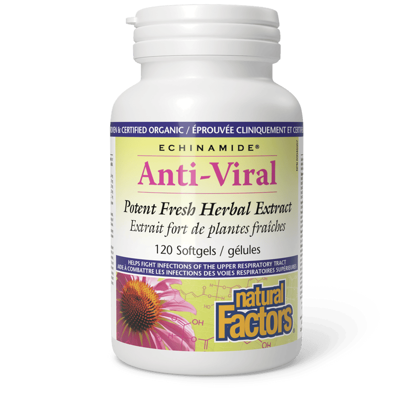 Natural Factors Echinamide Anti-Viral Potent Fresh Herbal Extract 120 Softgels