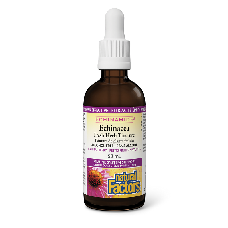 Natural Factors Echinacea Berry Alcohol free Fresh Herb Tincture 50ml