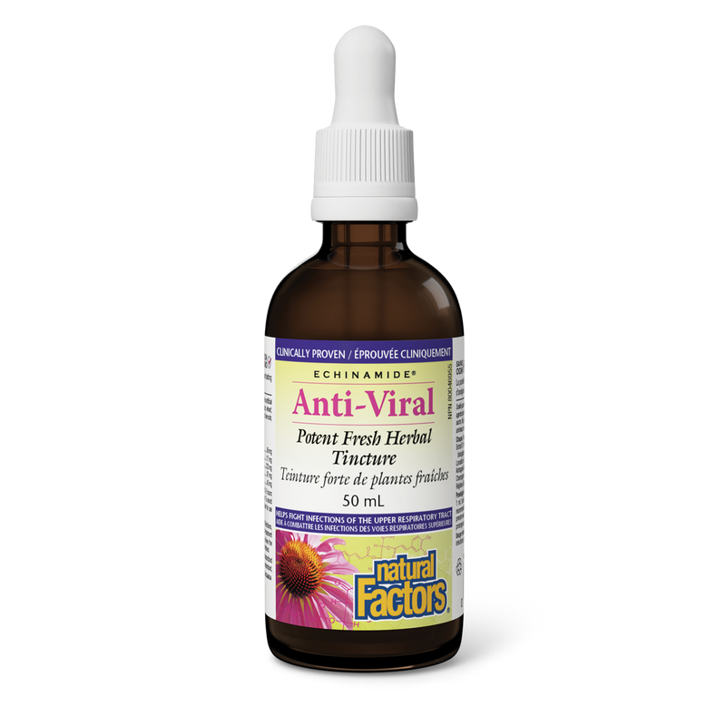 Natural Factors Echinamide Anti-Viral Tincture 50mL