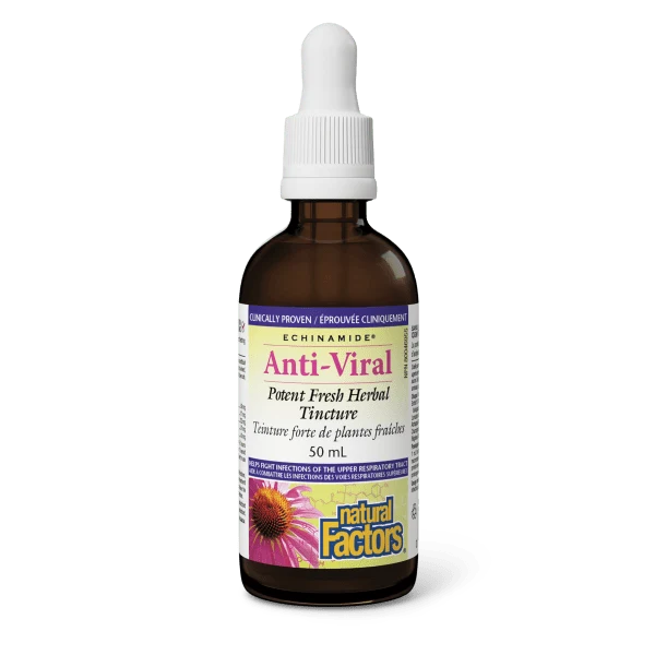 Natural Factors Echinamide Anti-Viral Tincture 50mL