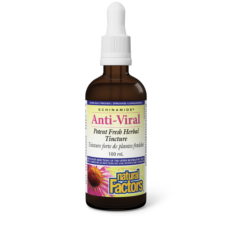 Natural Factors Echinamide Anti-Viral Tincture 100mL
