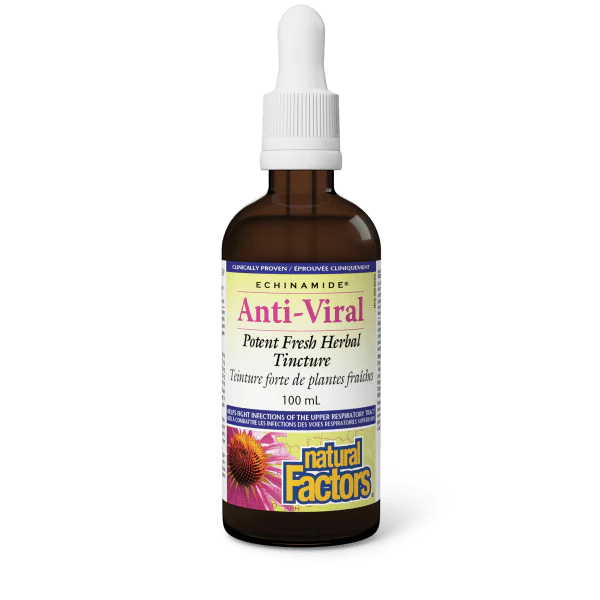 Natural Factors Echinamide Anti-Viral Tincture 100mL