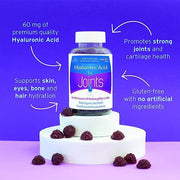 Hyalogic Hyaluronic Acid for Joints 60 Gummies Supplements - Joint Care at Village Vitamin Store