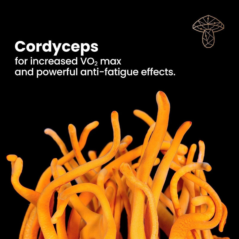 The Sporing Company Mycoveda™ Energy 60 Capsules