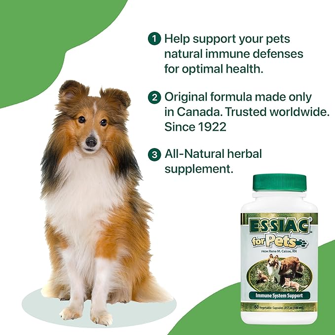 Essiac for Pets Immune System Support - 60 Vegetable Capsules