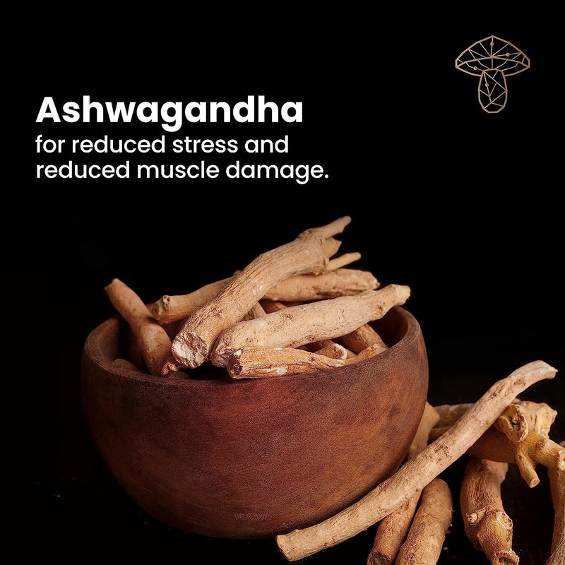 The Sporing Company Mycoveda™ Energy 60 Capsules