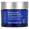 Andalou Naturals, Revitalizing Sleeping Beauty Mask, 1.7 fl oz (50 ml) Face Mask at Village Vitamin Store