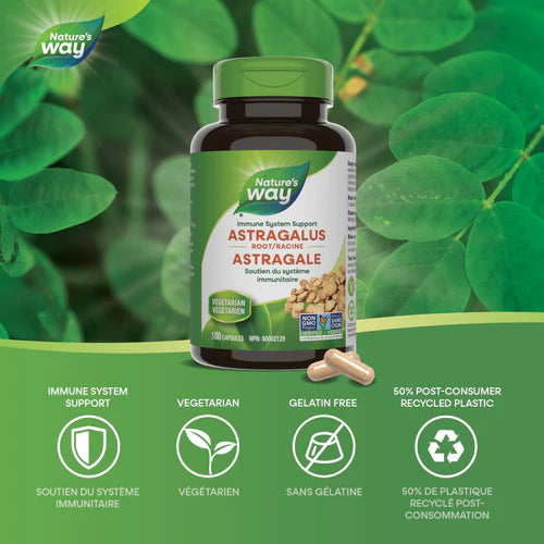 Nature's Way Astragalus 100 Caps