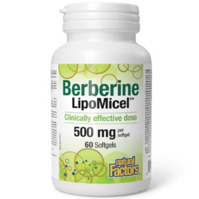 Natural Factors Berberine LipoMicel 500 mg 60 softgels Supplements - Blood Sugar at Village Vitamin Store
