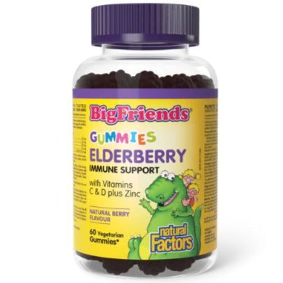 Natural Factors Big Friends Elderberry Gummies with Vitamins C & D plus Zinc 60 gummies Supplements - Kids at Village Vitamin Store