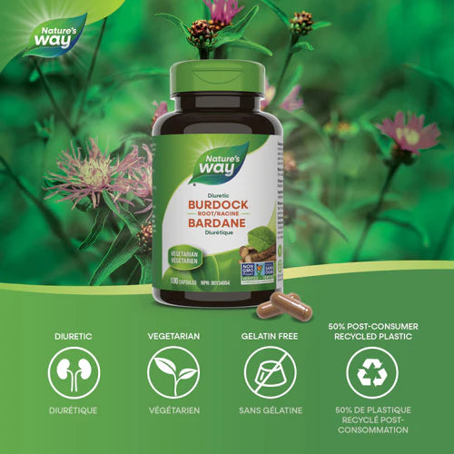 Nature's Way Burdock Root 100 caps