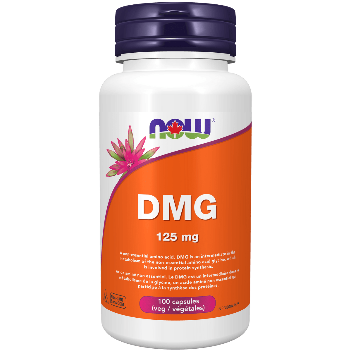 NOW DMG 125 mg 100 Veggie Caps Supplements at Village Vitamin Store