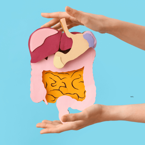Digestive Enzymes