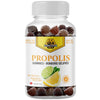 Dutchman's Gold Propolis 60 Gummies