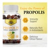 Dutchman's Gold Propolis 60 Gummies