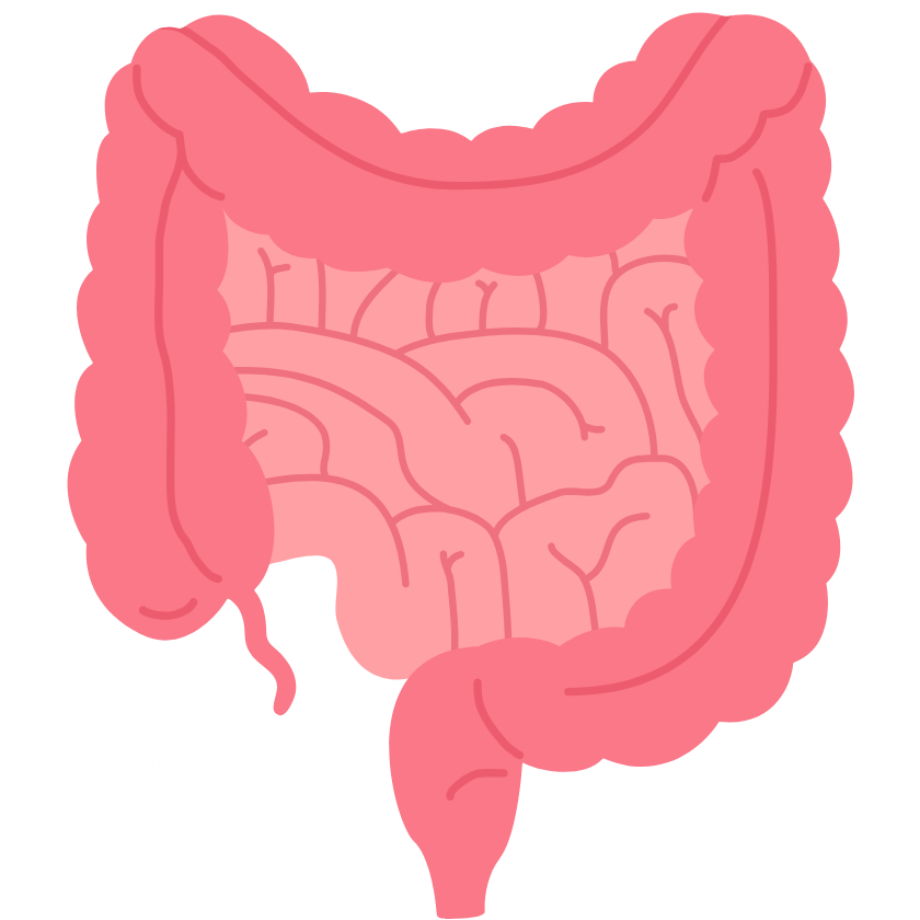 Probiotics & Gut Health