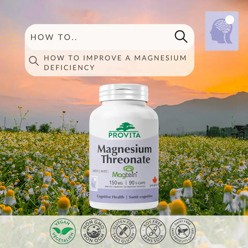 Provita Magnesium Threonate 90 Veggie Caps