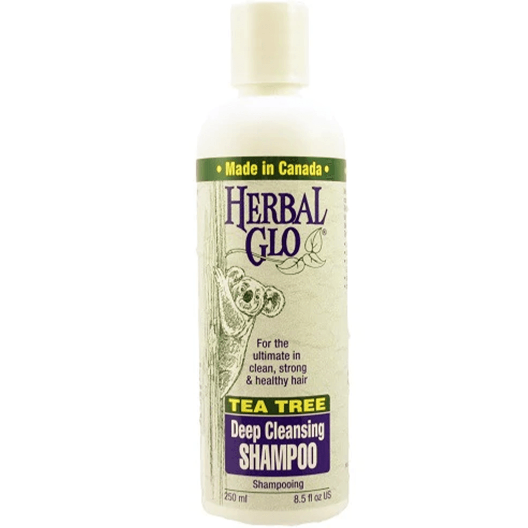 Herbal Glo Tea Tree Shampoo 250ML Shampoo at Village Vitamin Store