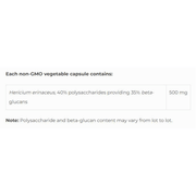 NFH Hericium Erinaceus 60 Caps Supplements at Village Vitamin Store