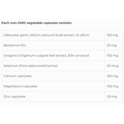 NFH Candida SAP 180 Caps Supplements at Village Vitamin Store