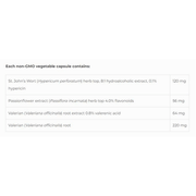 NFH Mood Support SAP 90 Caps Supplements - Stress at Village Vitamin Store