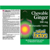 Natural Factors Chewable Ginger 500mg 90 Chewable Tabs Supplements - Digestive Health at Village Vitamin Store