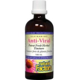 Natural Factors Echinamide Anti-Viral Tincture 100mL Cough, Cold & Flu at Village Vitamin Store