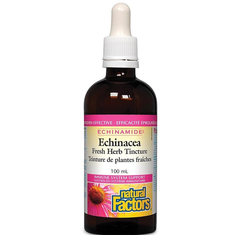 Natural Factors Echinamide Echinacea Fresh Herb Tincture 100mL Cough, Cold & Flu at Village Vitamin Store