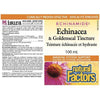 Natural Factors Echinacea & Goldenseal Tincture 100ml Cough, Cold & Flu at Village Vitamin Store
